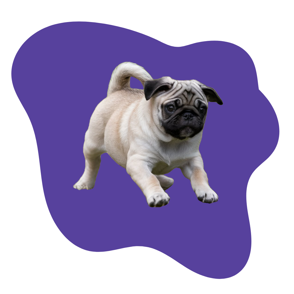 pug_blob pug_blob